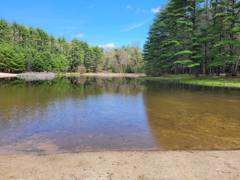 Stratton Brook Pond, Simsbury