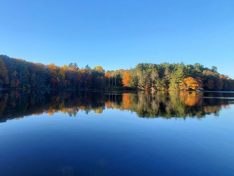 Burr Pond State Park, Torrington 