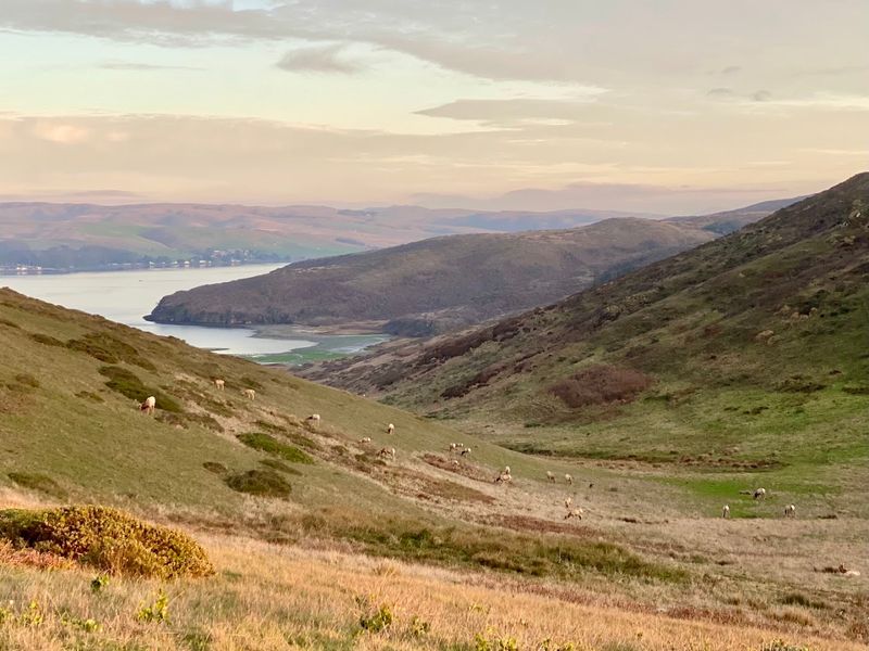 Tomales Point Trail, Point Reyes National Seashore