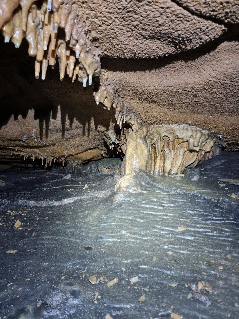 Wildlife Encounters Underground and Above