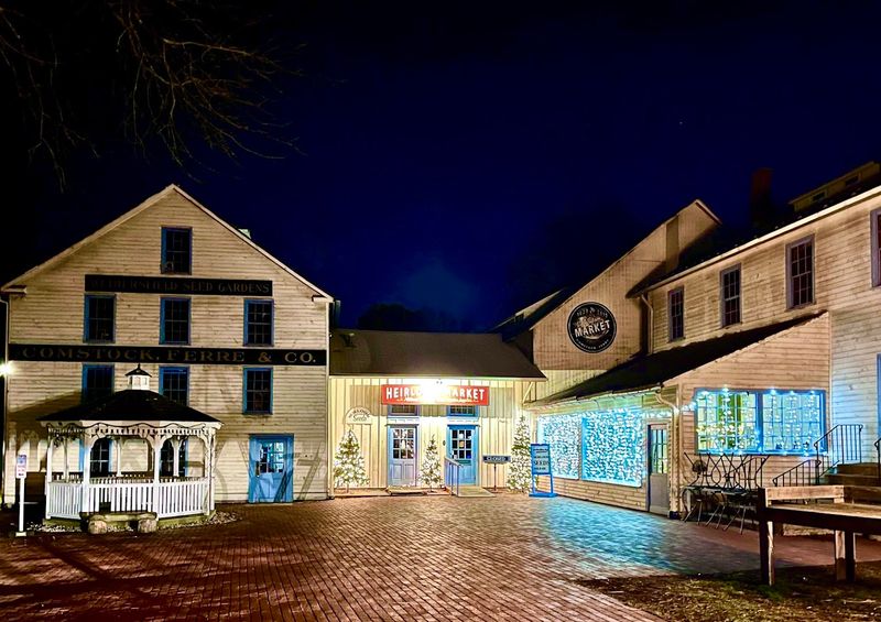 Seasonal Festivals And Community Events To Enjoy
