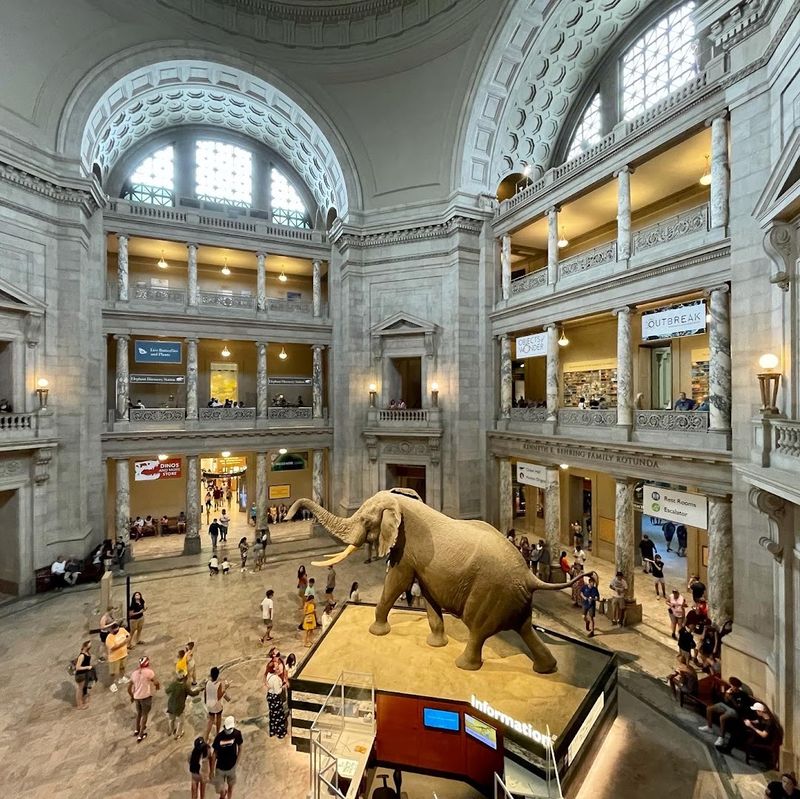 Smithsonian National Museum Of Natural History
