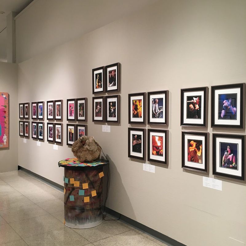 The Museum's Impressive Fine Art Collection