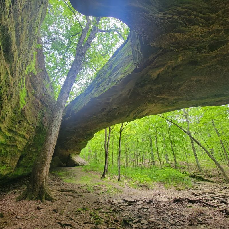 Mantle Rock Preserve
