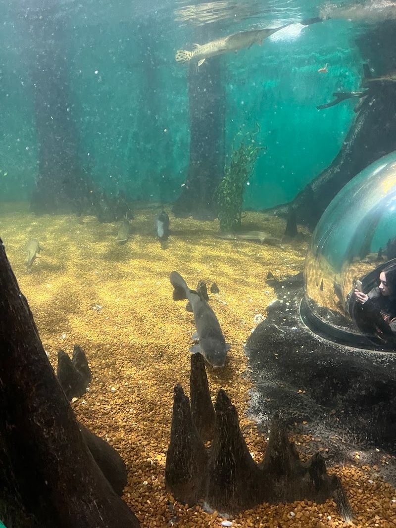 Aquarium And Wildlife Up Close