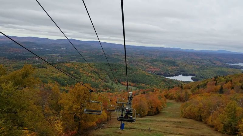 Fall Foliage That Turns The Whole Place Into A Painting