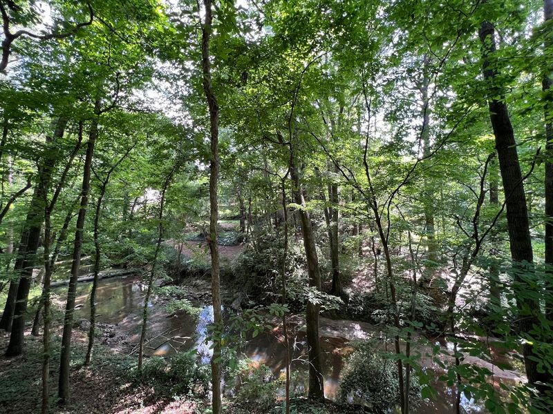 The Creek Valley Scenery Is Breathtakingly Green