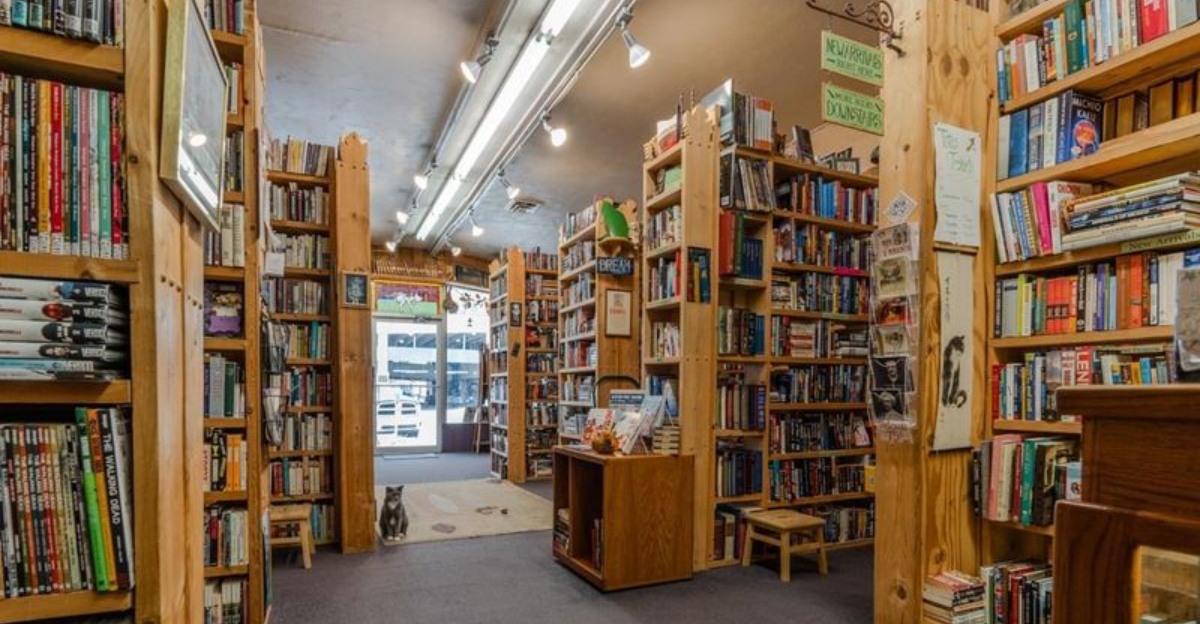 Nebraskas Hidden Literary Haven Every Book Lover Needs To Explore And Meet Its Resident Cats - Decor Hint