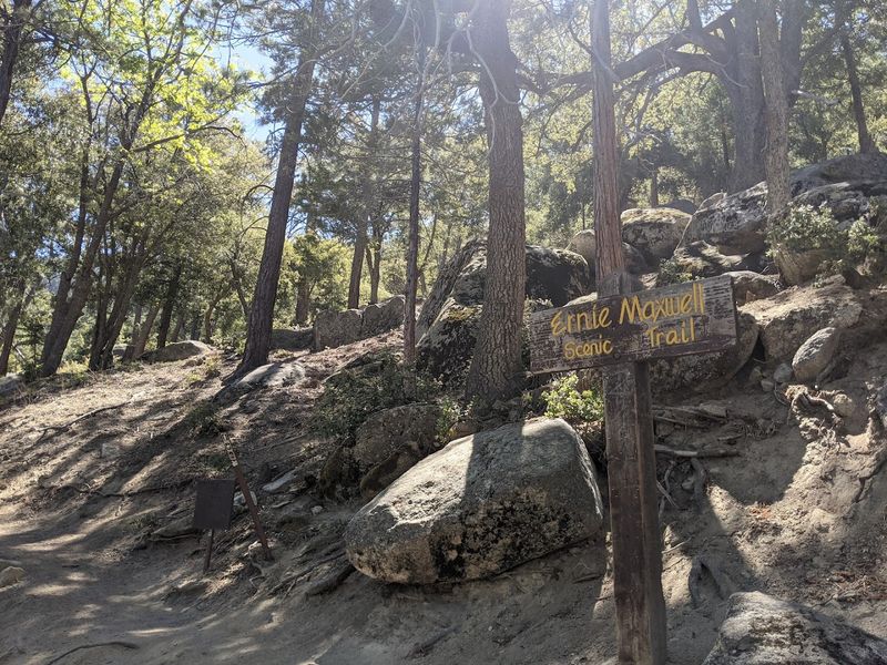 Idyllwild - Ernie Maxwell Scenic Trail, Mountain-Town Browsing, and Idyllwild Brewpub