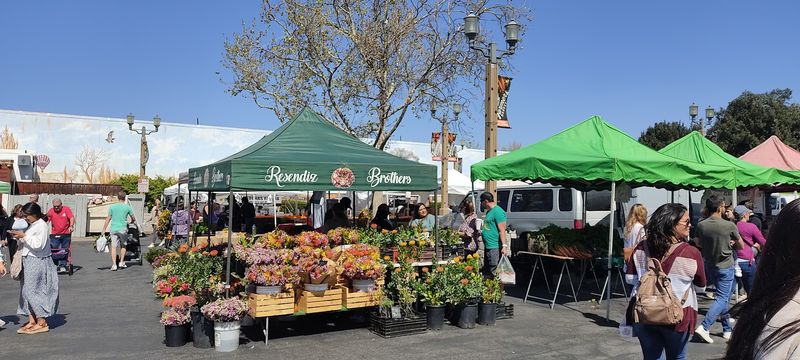 Temecula Farmers Market, Temecula