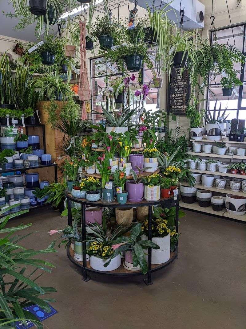 16 Garden Shops In Kentucky That Are Worth A Spring Road Trip - Decor Hint The Plant Kingdom