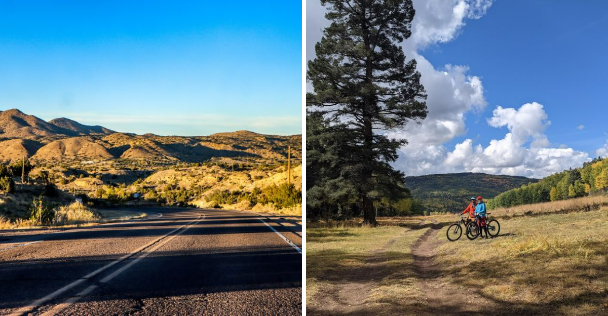 New Mexico Cycling Trails That Feel Like A Hidden Adventure - Decor Hint