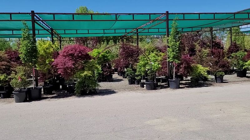 FarWest Landscape And Garden Center