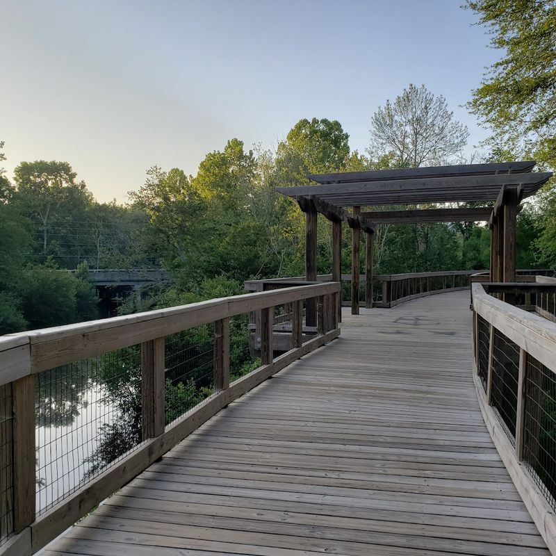 The Walk At Sandy Run