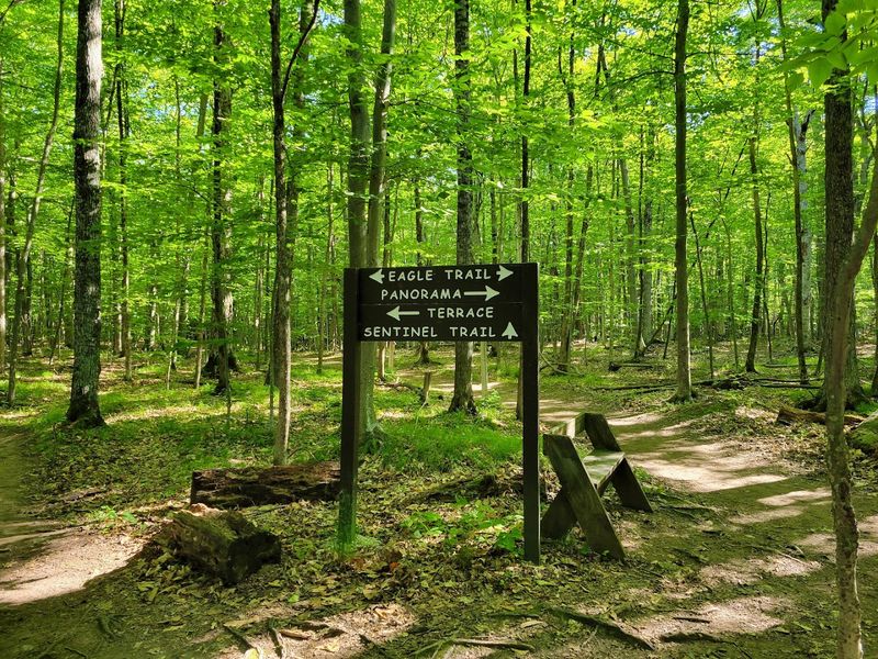Planning Your Visit