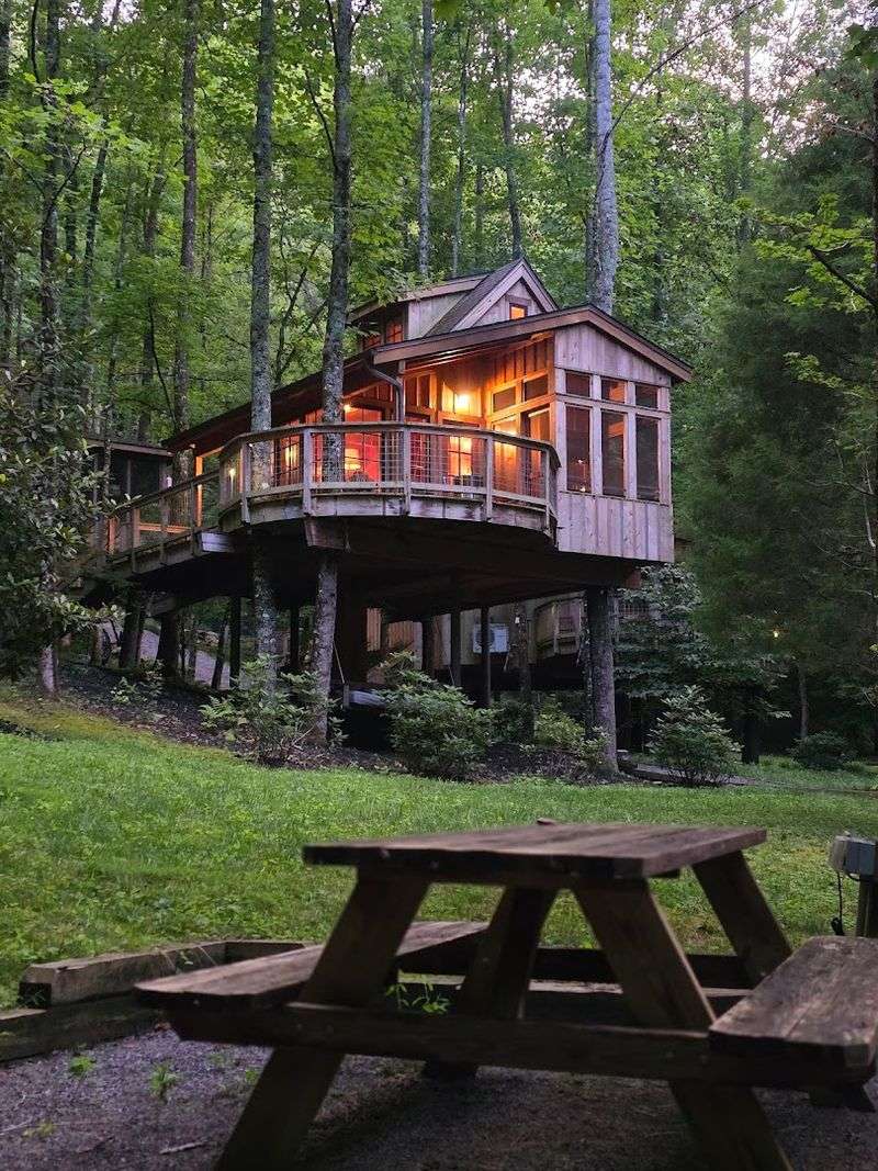 Treehouse Grove At Norton Creek