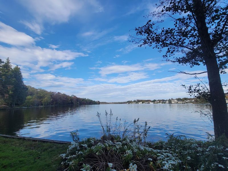 Wildlife Along The Connetquot River
