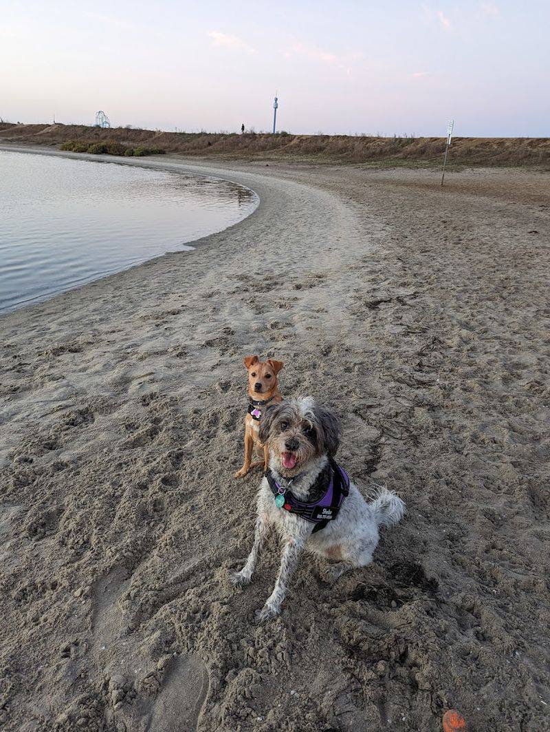 Fiesta Island, San Diego / Mission Bay