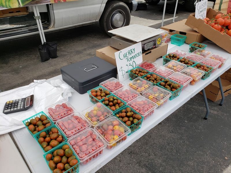 Camarillo Farmers Market, Camarillo