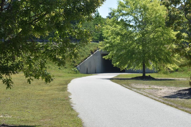 The S&S Greenway