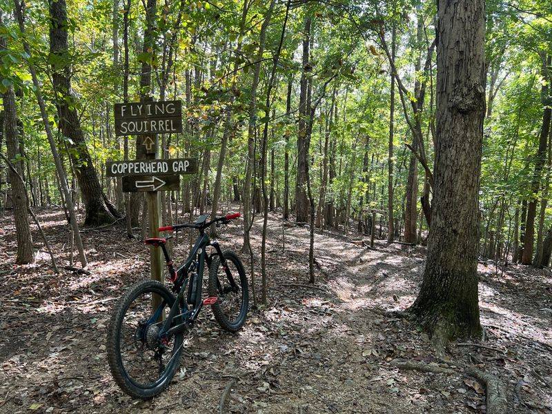 Chicopee Woods Mountain Bike Trails