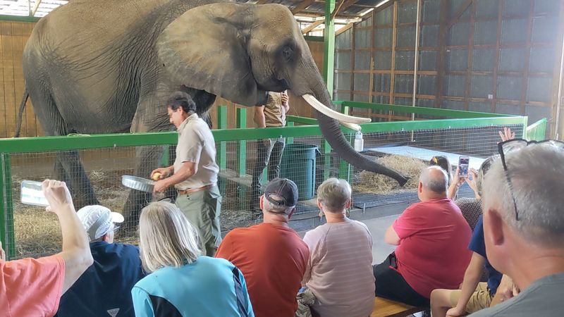 What Myakka Elephant Ranch Actually Is