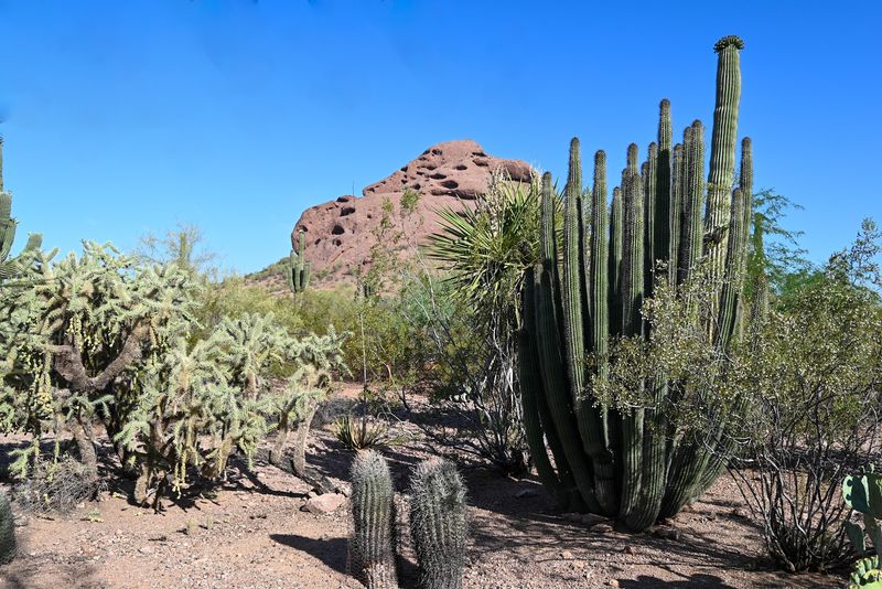 Where The Desert Becomes A Living Work Of Art
