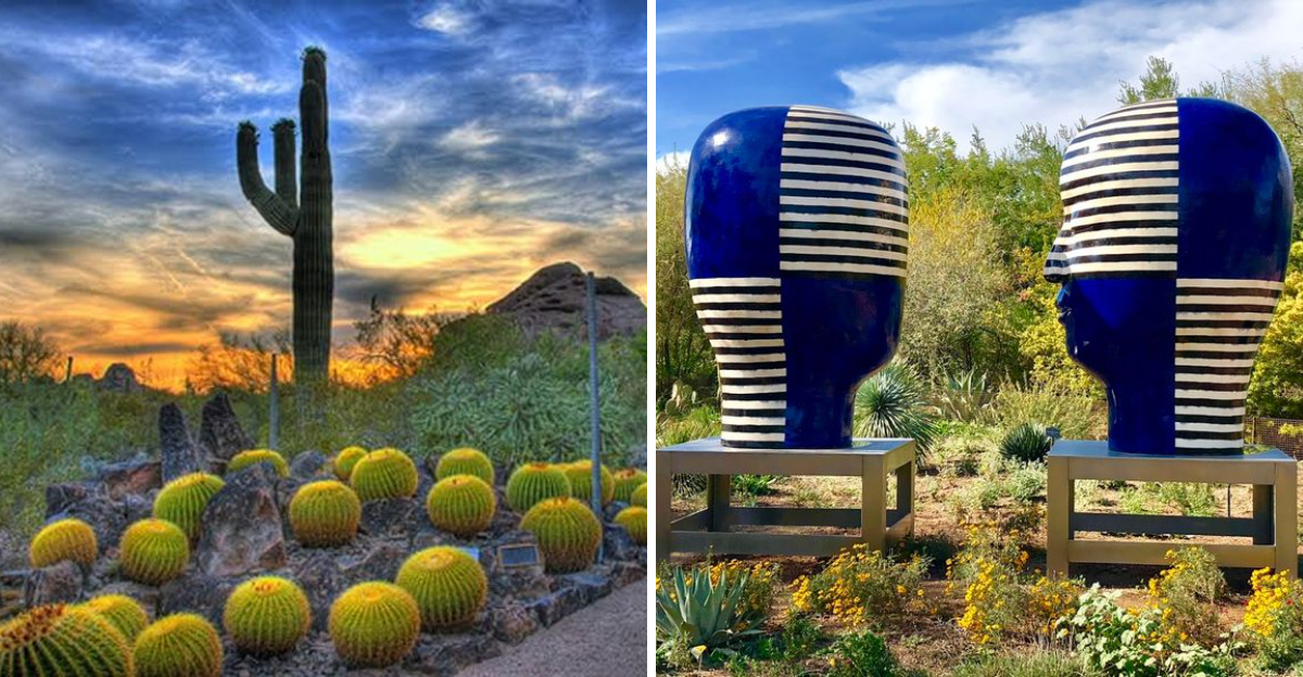 One Of Arizonas Most Beautiful Gardens Is Hiding In The Middle Of The Desert - Decor Hint