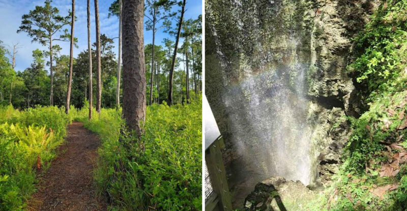 One Of Florida’s Most Unexpected Waterfall Spots Is Hiding Along This Trail
