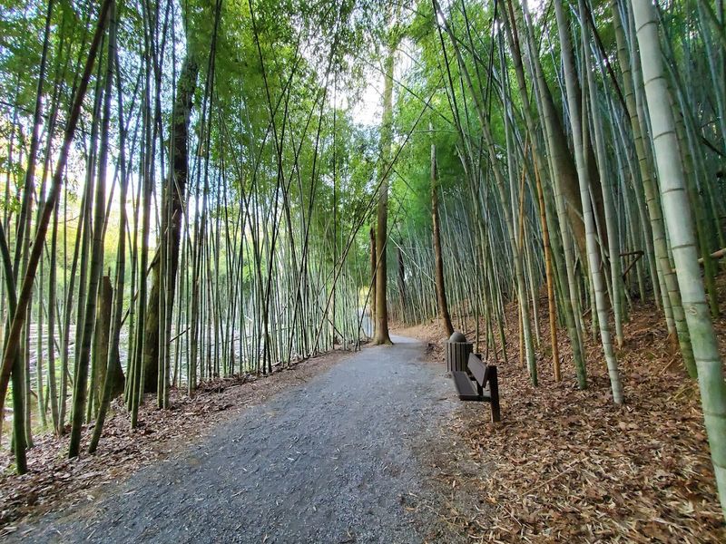 Wilderness Park