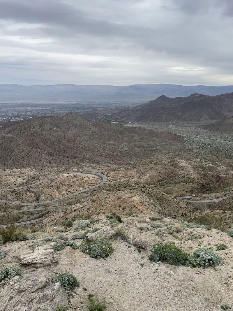 Palms To Pines Scenic Byway To Idyllwild Cafés
