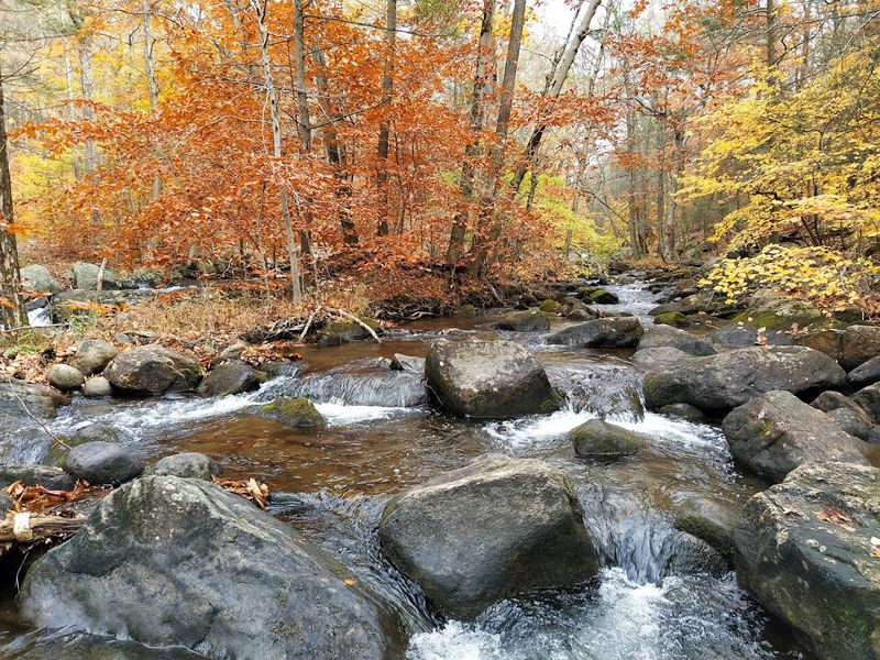 Harriman State Park Trails
