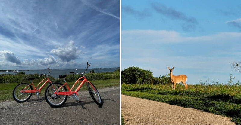 Parents Can’t Stop Recommending This Fun And Easy Rhode Island Getaway