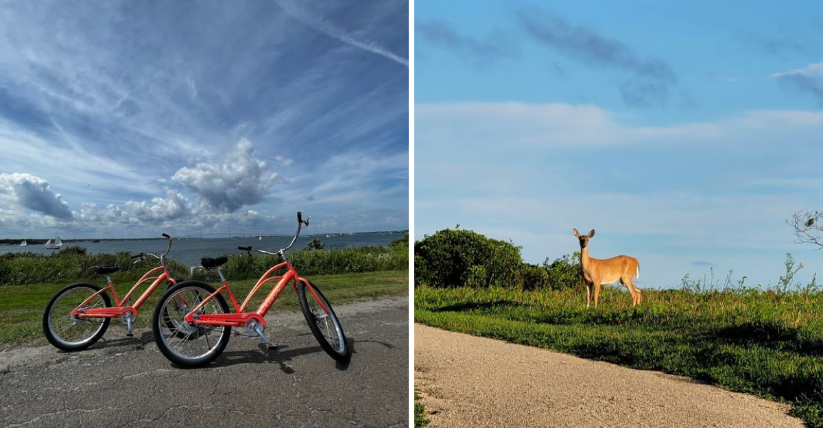 Parents Cant Stop Recommending This Fun And Easy Rhode Island Getaway - Decor Hint