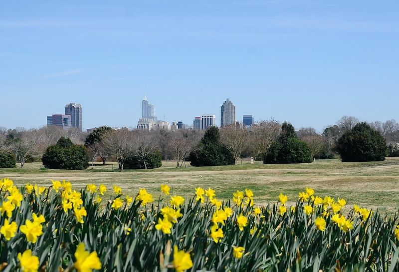 What To Expect At Dix Park