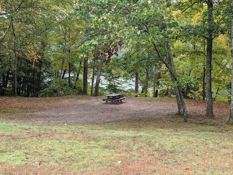 Picnic Spots Shaded By The Trees