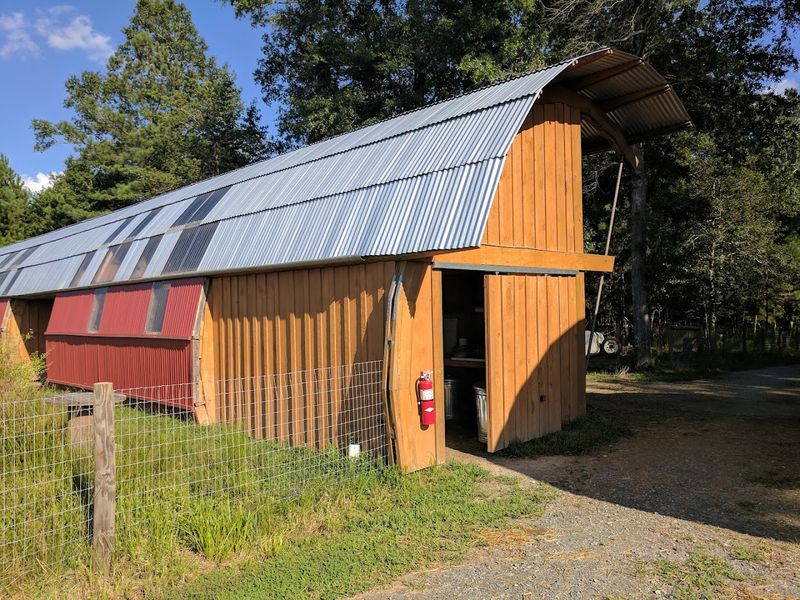 Animal-Centered Architecture Around The Grounds