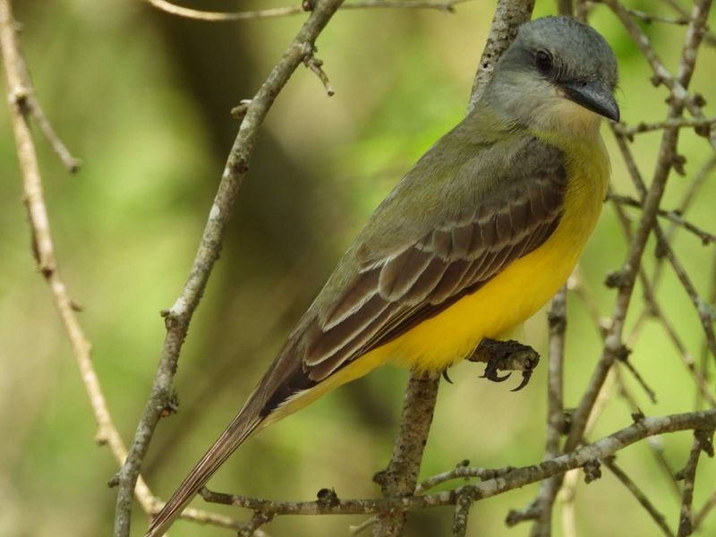 The Birding Here Will Rearrange Your Priorities