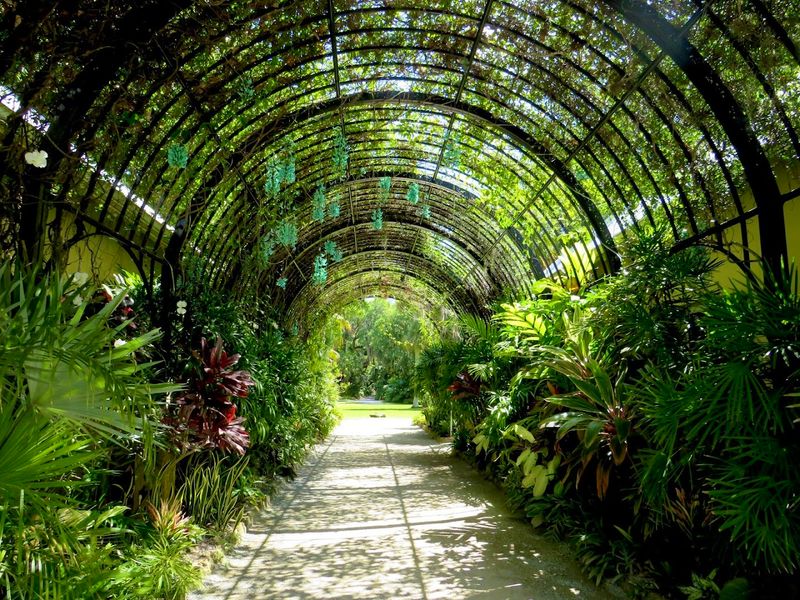 McKee Botanical Garden's Tropical Escape