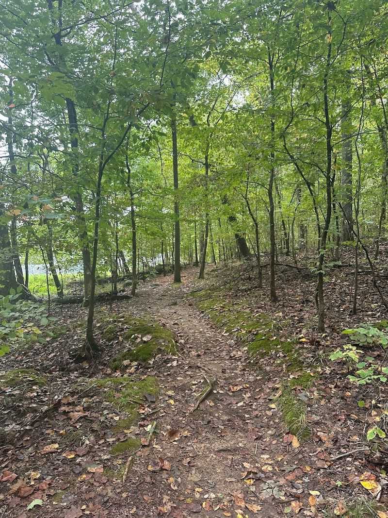 The Most Breathtaking White Sand Beach In Kentucky Isn't Where You'd Expect - Decor Hint Hiking Trails With Stunning Forest Views