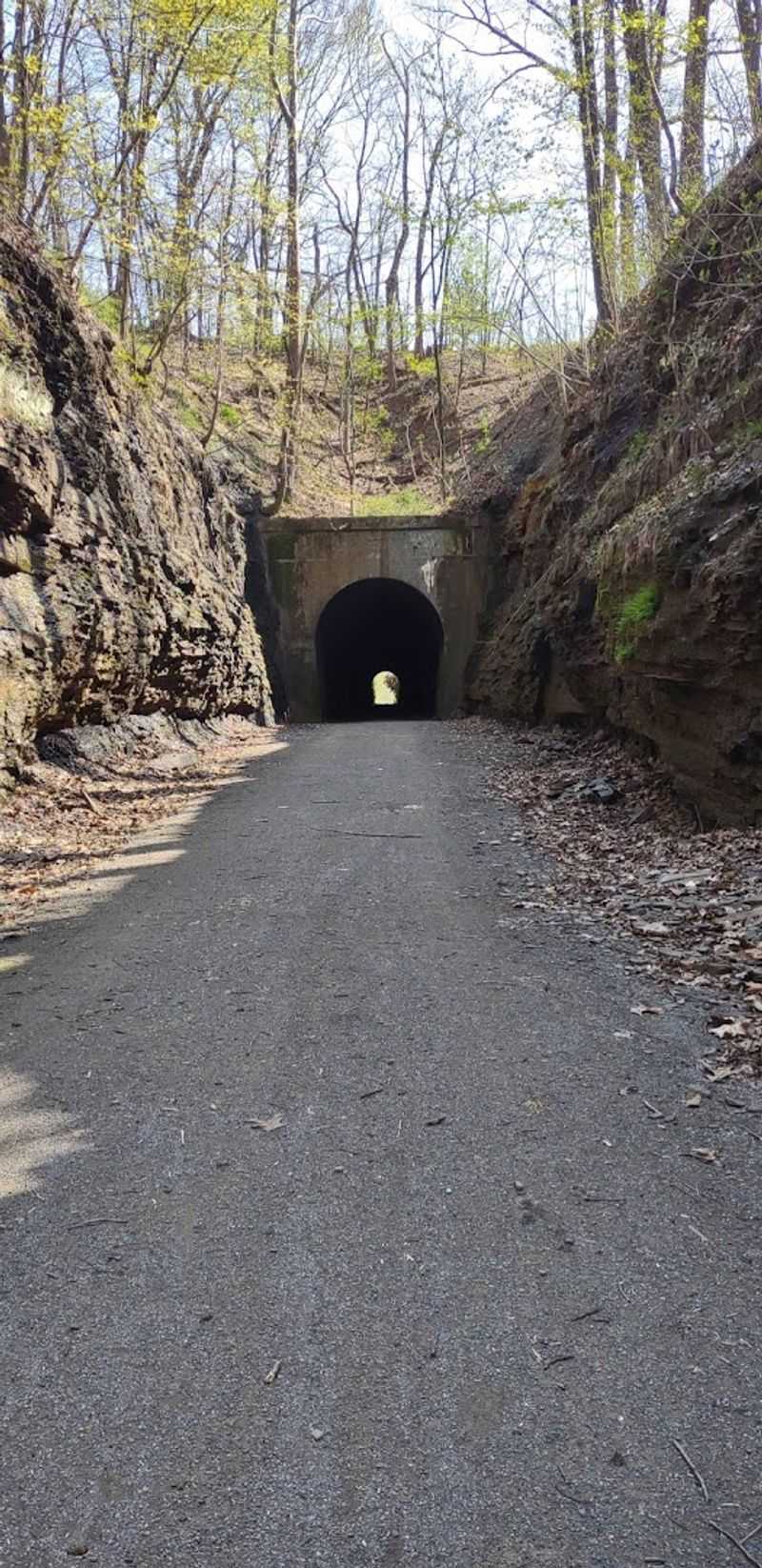 13 Illinois Day Trips That Offer Amazing Scenery For Less Than $65 - Decor Hint Tunnel Hill State Trail