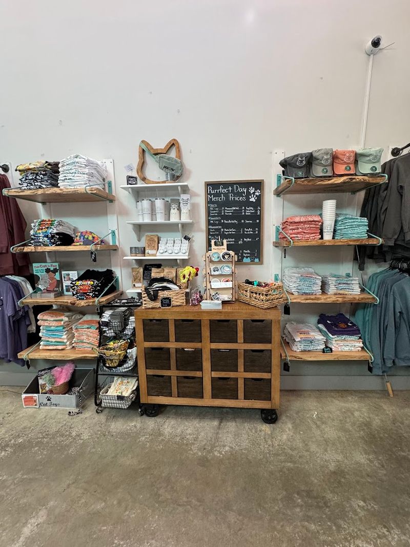 Charming Merchandise And Cat-Themed Gifts Worth Browsing