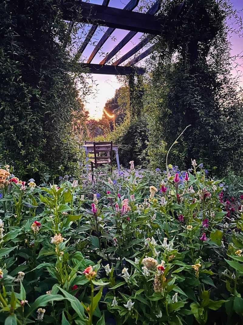 Golden Hour Magic On The Farm