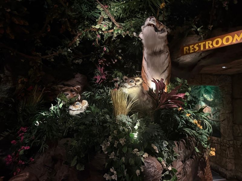 The Jungle Joins Your Birthday Party