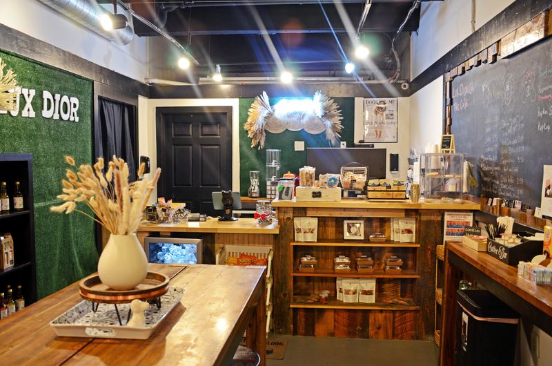 A Hidden Gem With a Sophisticated Atmosphere