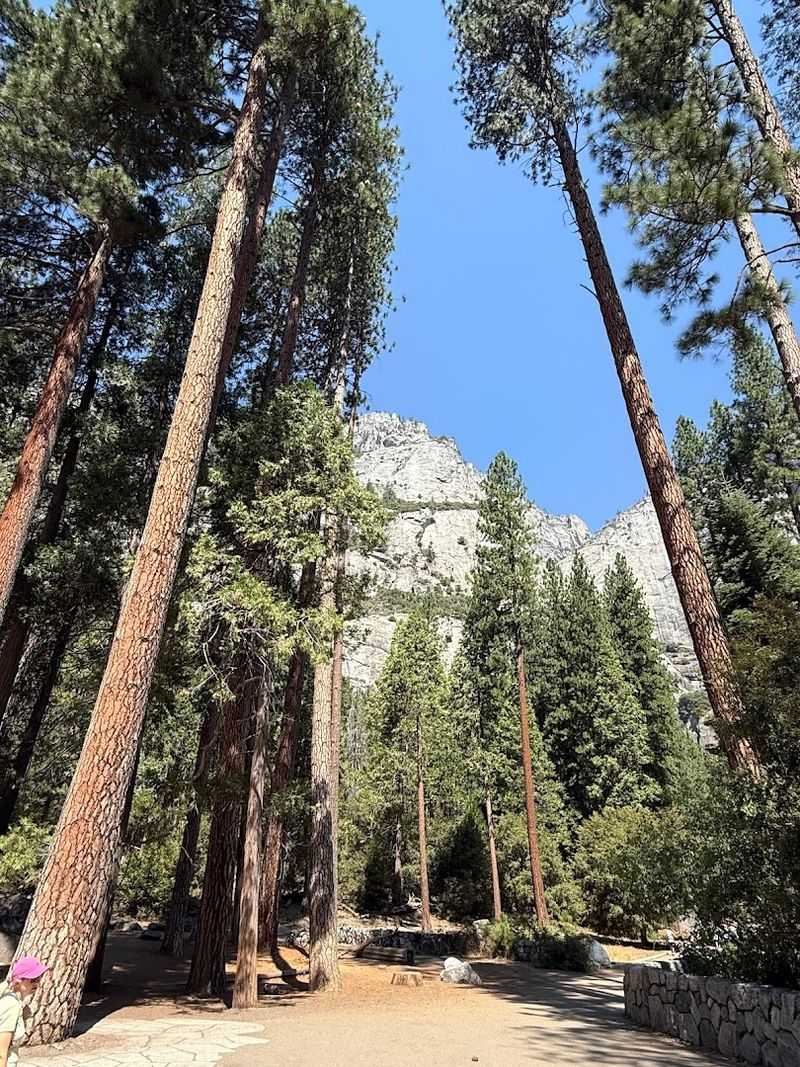 14 California Scenic Walks That Do Not Take Long But Still Deliver Big Views - Decor Hint Lower Yosemite Fall Trail, Yosemite Valley