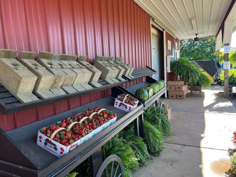 Your Visit To The Farm