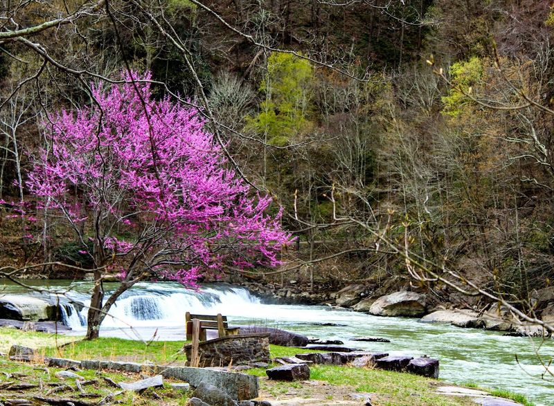 This Peaceful West Virginia State Park Feels Like Another World Entirely - Decor Hint Why This Park Deserves A Spot On Your West Virginia List