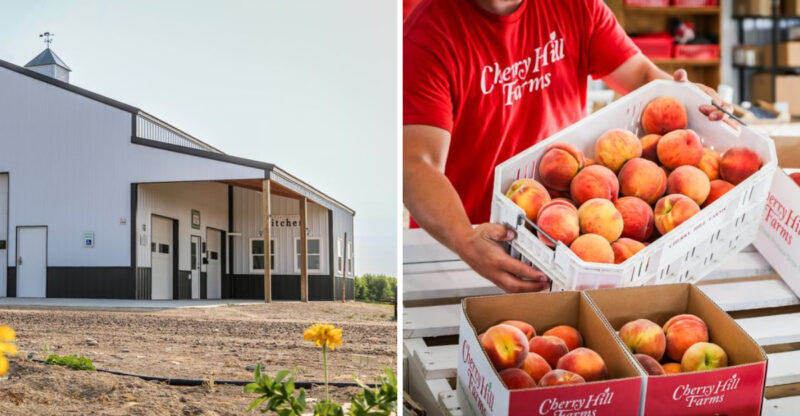 Pick Your Own Idaho Peaches & Experience Farm Life All Season Long