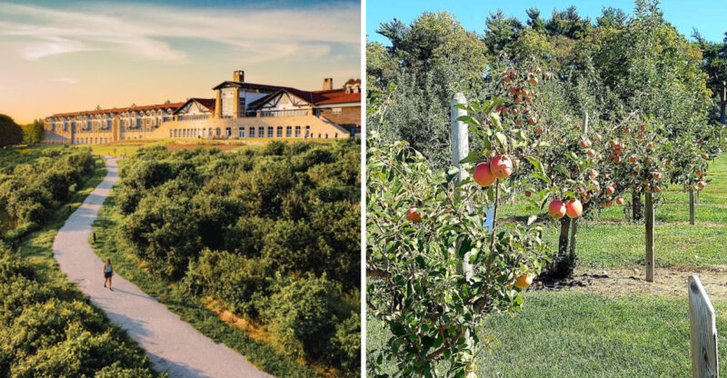 Pick-Your-Own Nebraska Apples Let You Experience Farm Life All Season Long
